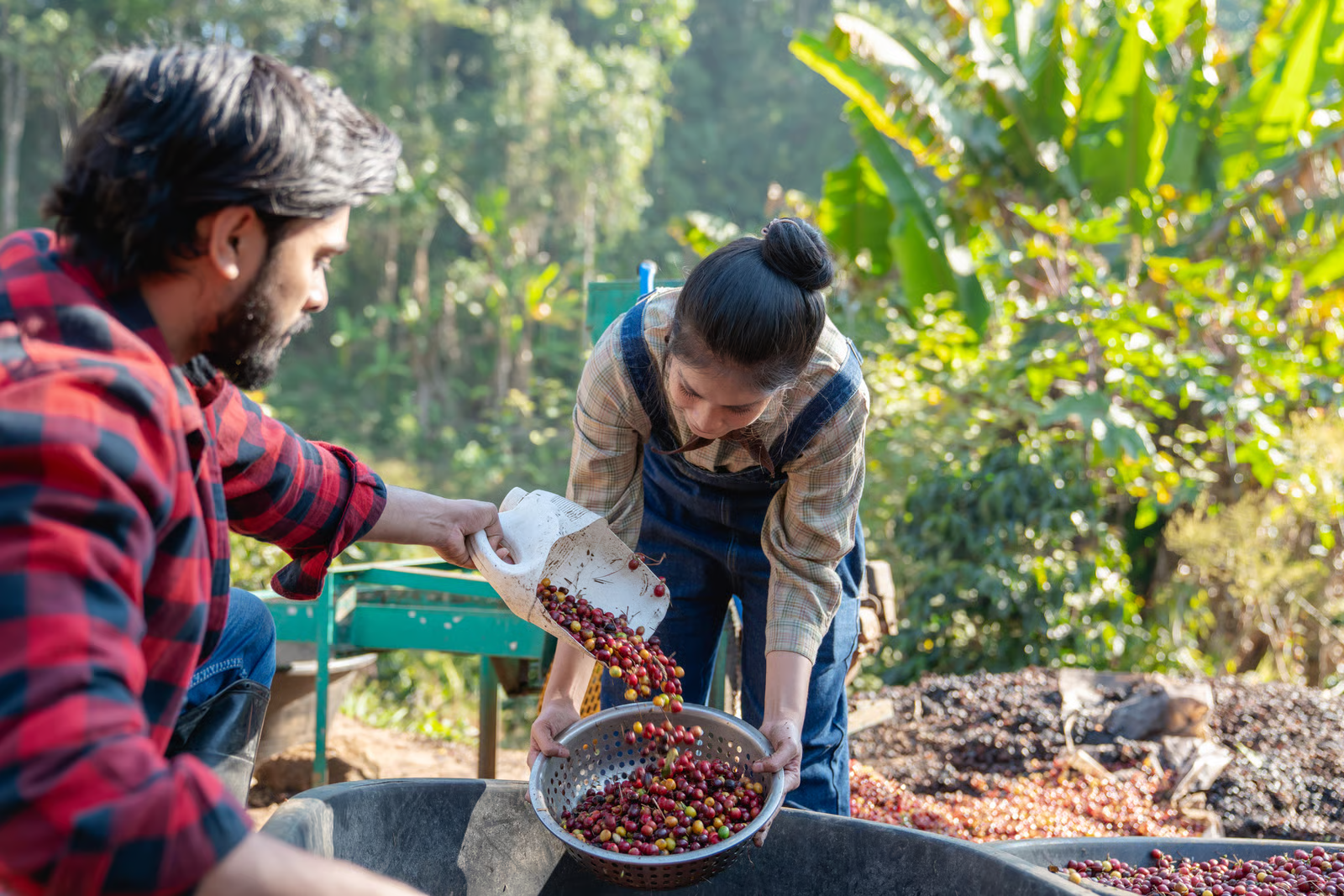 Talitha Coffee’s Co-Founder Discusses Her Trip to the Dominican Republic